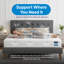Winksleep Black Euro Top Mattress, Medium-Firm with Pocket Springs & Memory Foam-2108952444