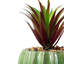 50.8cm Faux Plant in Pot-1193227653