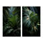 «Palm Trees Jungle», 2 pièces-1552142893-1552142880