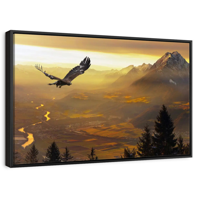 Aigle royal au coucher du soleil, Cadre flottant noir, 37 po x 25 po