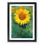 The Sunflower - Picture Frame Painting Print-56855638-56855643