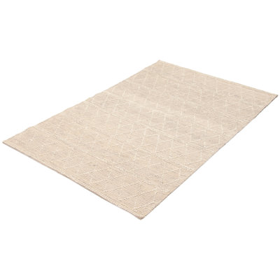 Demosthenes Performance Hand Braided Wool Rug