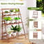 Plant Stand-654314326
