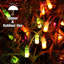 Guirlandes lumineuses-1570705975