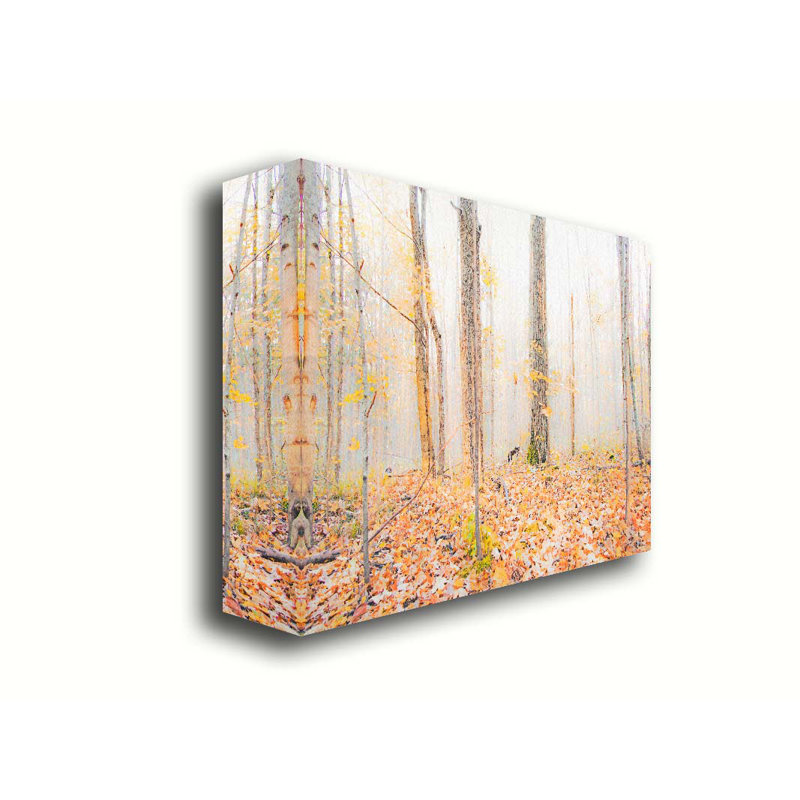 Dans une forêt d'automne par Hal Halli. Toile giclée sur toile avec cadre flottant, H 40 po x l 60 po, Toile tendue