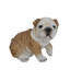 Statue chiot bouledogue