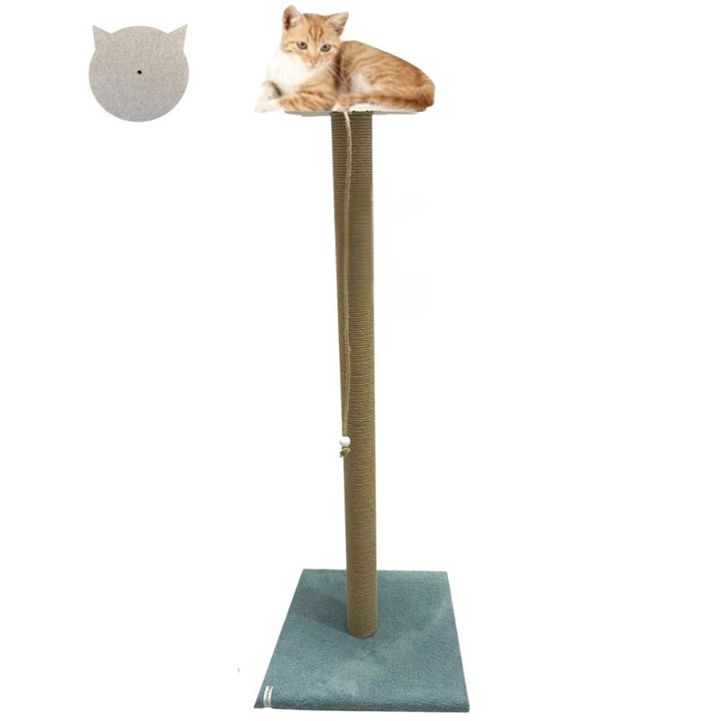 Grattoir pour chat, Turquoise