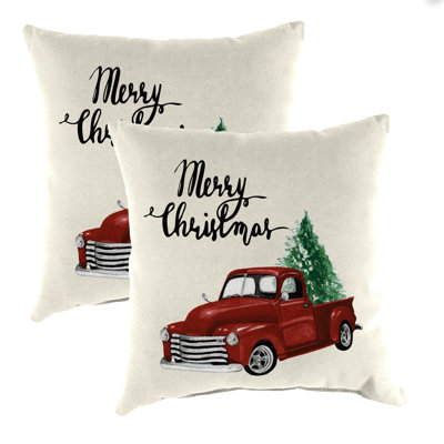 16" x 16" Outdoor Throw Pillow (Set of 2)