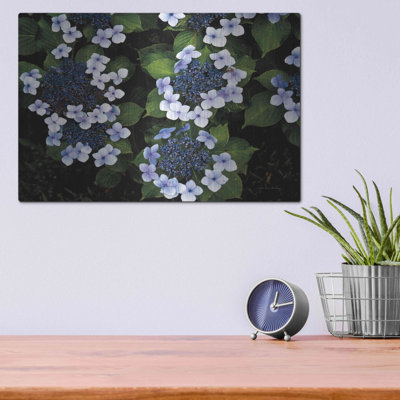 Hydrangeas Ouverture par Debra Van Swearingen