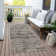 Machine Washable Indoor/Outdoor Xhevrie Taupe Rug