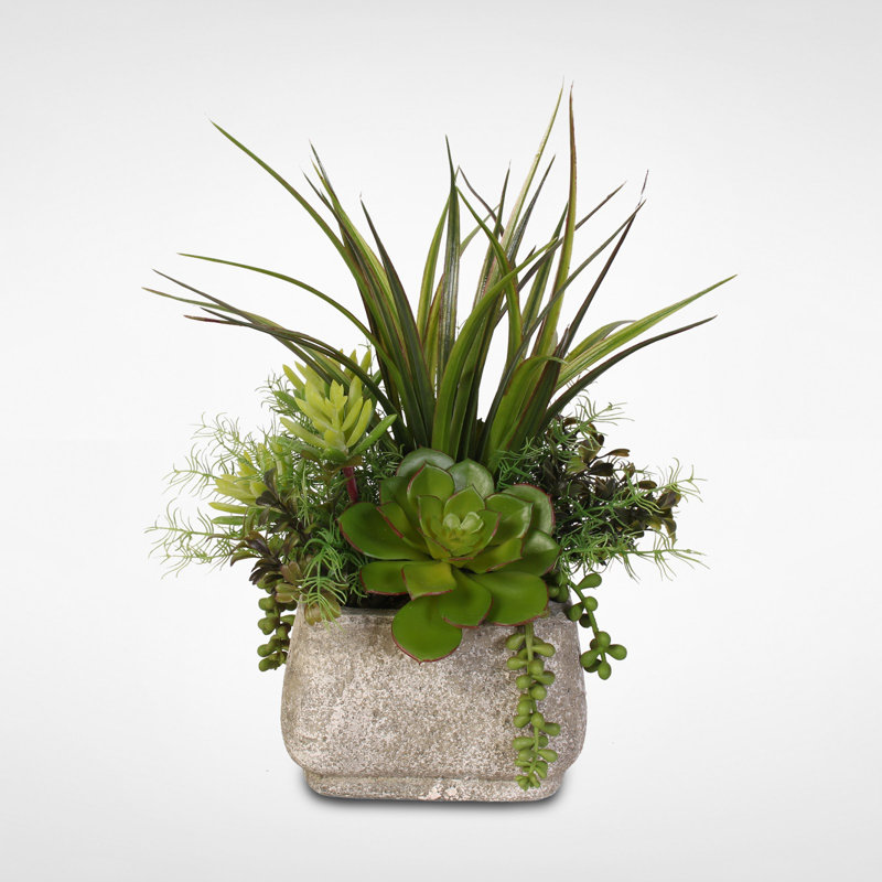 Faux Succulent Plant in Cement Planter