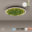 Ahlivia Not Applicable LED Flush Mount