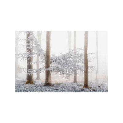 Lishka by Lars Van de Goor - 1 Piece Wrapped Canvas Wall Art