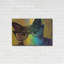 «Cat In Glasses» par Cindy Jacobs-497596373