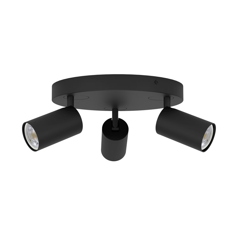 Berenices Spotlight, Matte Black