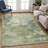 Machine Washable Indoor/Outdoor Jadiel ACN2367 Abstract Rug-1426547861