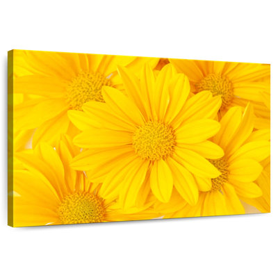 Harnek Floral Yellow Daisies
