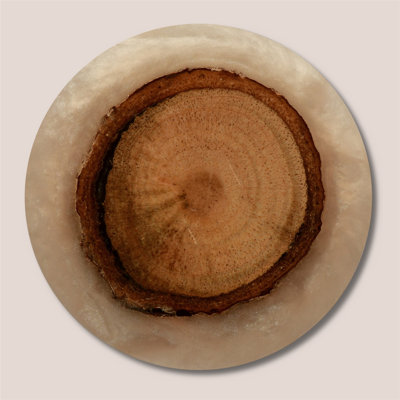1.4" Diameter Cylindrical Knob