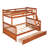 Twin-Over-Full Bunk Bed with Ladders and Two Storage Drawers-2063516661