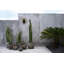 Cocar Terracotta Table Vase-1213121801