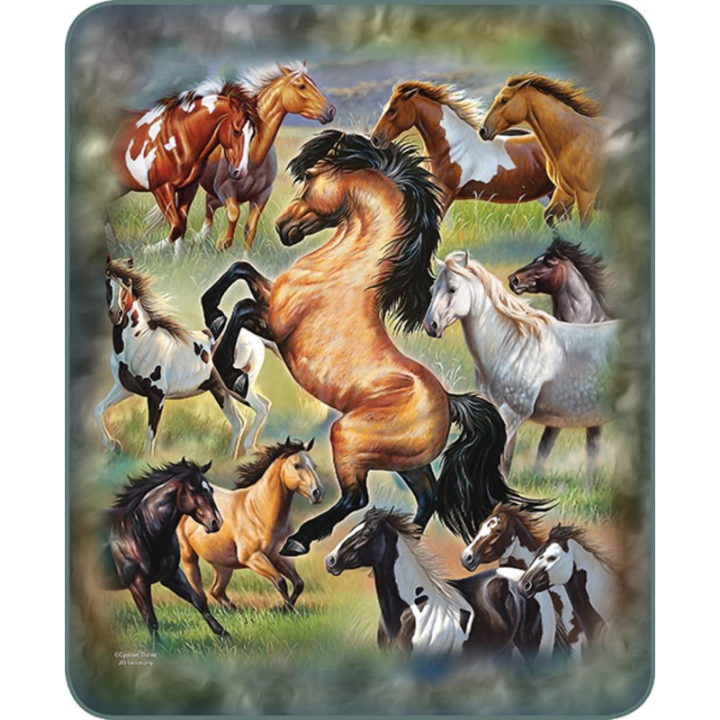  Couverture Horses in Motion