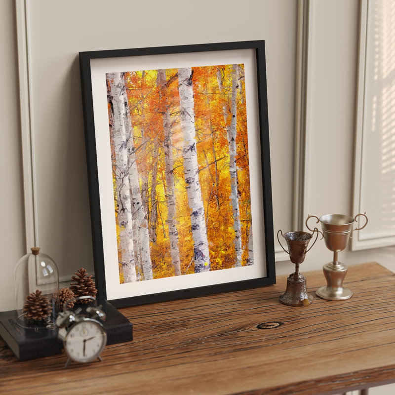 Bouleaux rayonnants, orange vif et feuilles jaunes, Nature Illustration, petit décor, œuvre d'art, Blanc, H 14 po x l 11 po