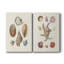 Toile tendue Knorr Shells & Coral I-Premium Gallery - prête à être accrochée-108965486