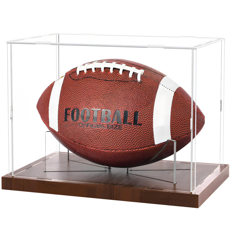 ZESTIME 18cm W 29cm D Acrylic Ball / Puck Case