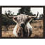Field Cow Wall Art & Signage