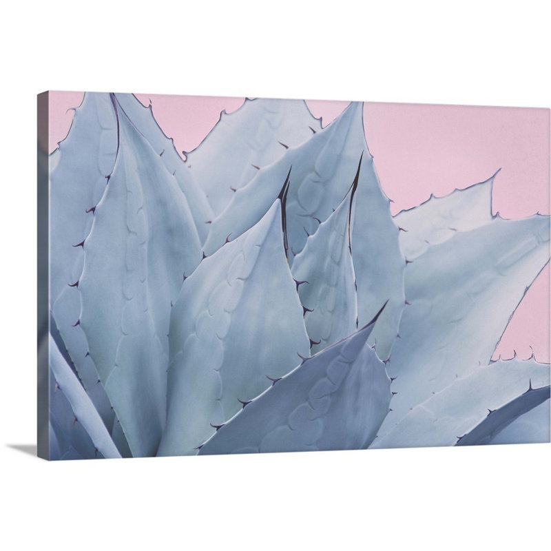 « Pink Crush V » par Elizabeth Urquhart-reproduction de photo sur toile, H 20 po x l 30 po x P 1,25 po, Toile tendue