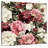 Multicolor Peonies-109221168