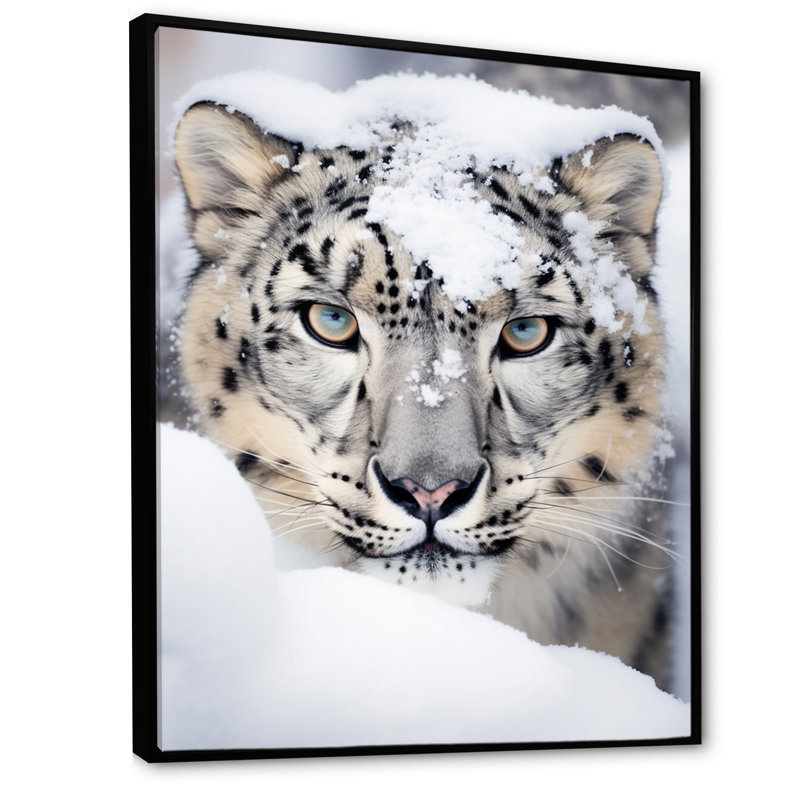 Tigre blanc en hiver I - impression, H 44 po x l 34 po x P 1,5 po, Cadre flottant noir