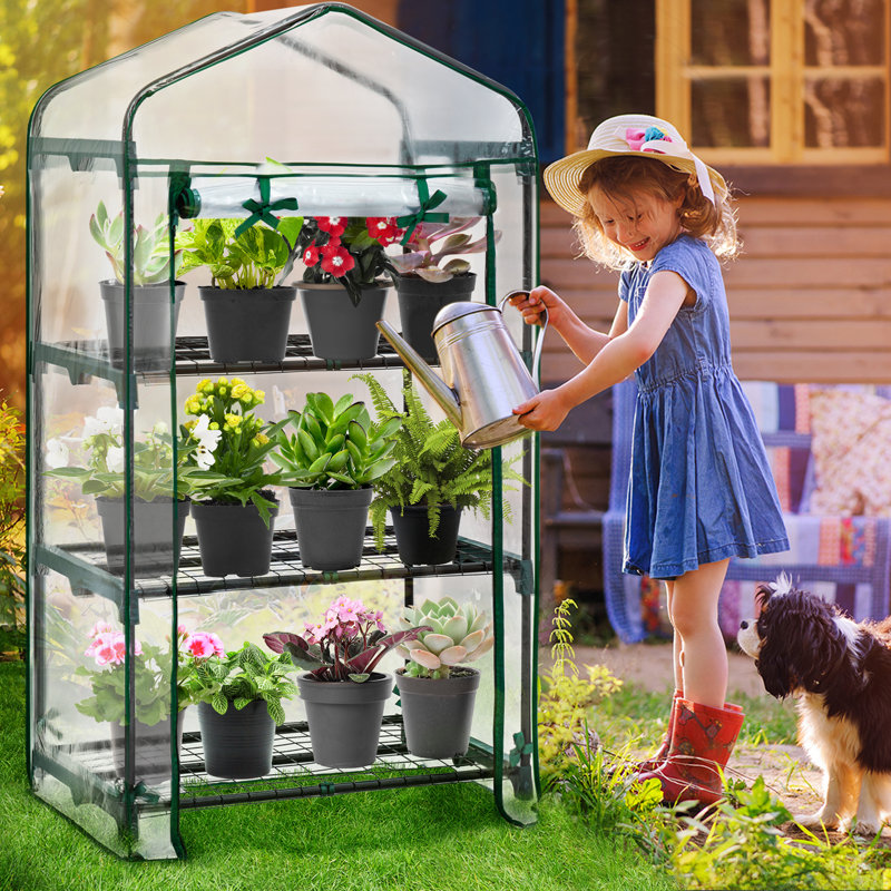 Eagle Peak 4-Foot Green Mini Indoor/Outdoor Greenhouse with Shelves