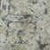 Premium Machine Washable Prisco Silver Rug