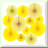 Golden Jubilee Celebration Confetti Set 200pcs