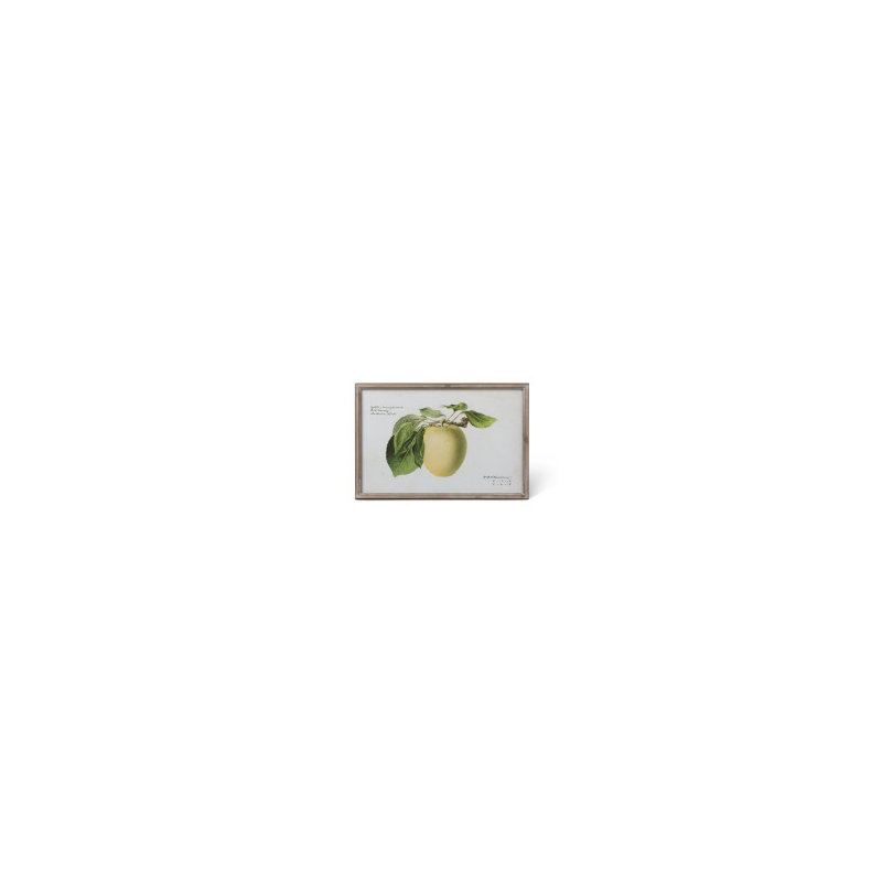 Food & Beverage