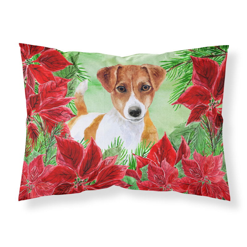 Taie d’oreiller poinsettas, Jack Russell terrier