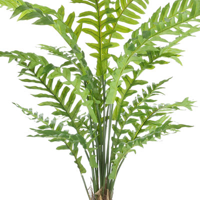 Fern Plant in Round Fiberstone Planter