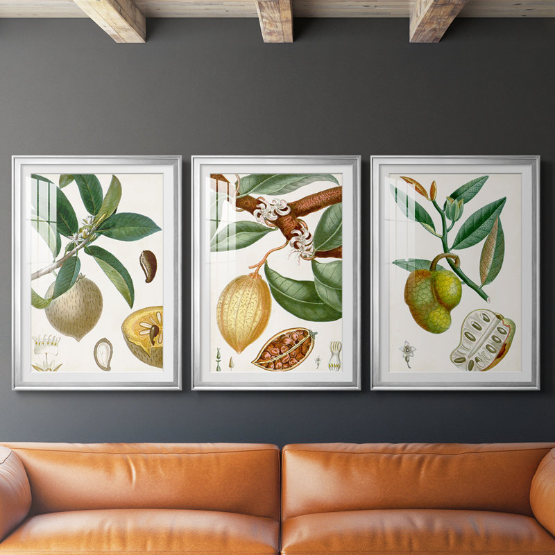 Turpin Tropical Fruit I - Impression personnalisée de qualité supérieure avec cadre mat - 3 pièces