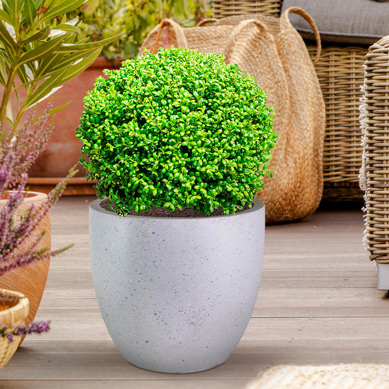 Fibreglass Plant Pot, 32cm H x 35cm W x 35cm D, Marble Grey
