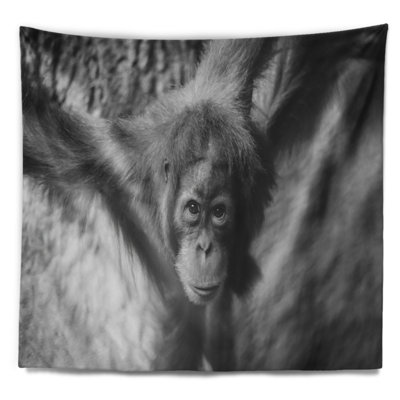 Tapisserie jeune orang-outan noir