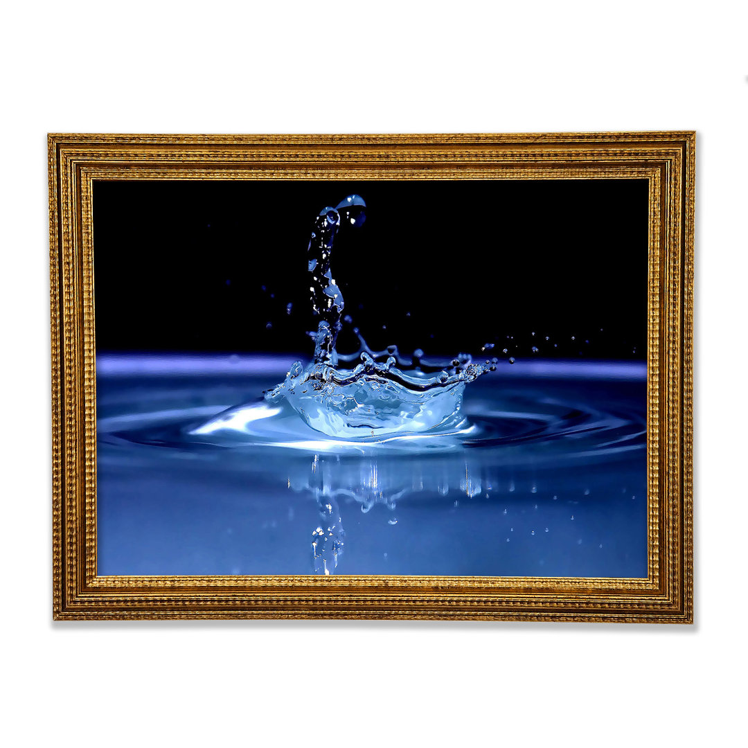 Water Splash Delight Blau - Druck