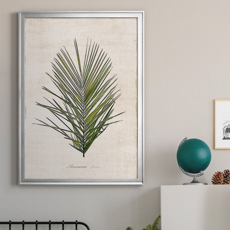 Palmier botanique I - impression, H 26,5 po x l 36,5 po x P 1,5 po, Argent