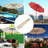 Outdoor Patio Umbrella Cover-514766941