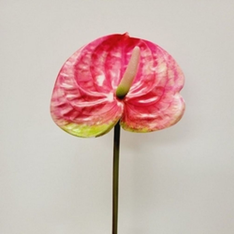 Branche artificielle 23 po, Rose