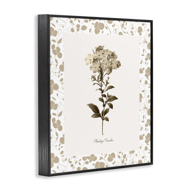 Giclée encadrée botanique neutre, design par Kelly Donovan, H 20 po x l 16 po, Giclée encadrée noir minuit