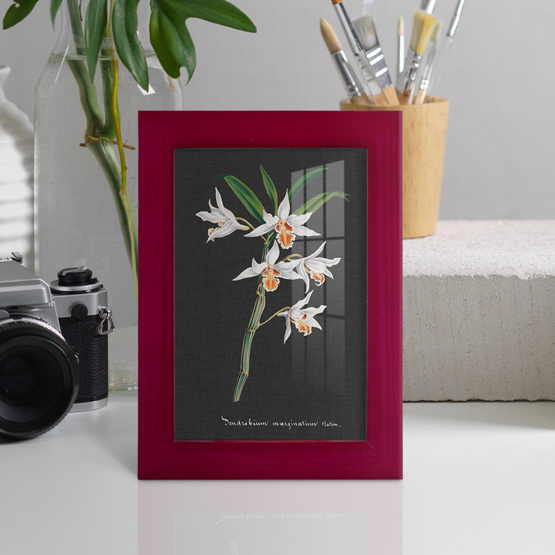 Orchidée sur ardoise IV - reproduction d'un seul cadre photo, Rouge, H 6 po x l 4 po x P 1 po
