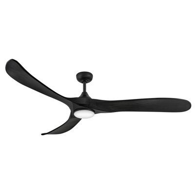 Reze Ceiling Fan with LED Lights