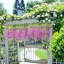 Paquet de 6 fleurs de glycine suspendues en vigne artificielle vigne Ratta guirlande suspendue fleurs en soie fête de mariage décoration-614534843
