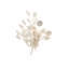 Lunaria 2 - Light Armed Sconce-136117324